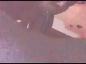 Mamando verga a brasileño interracial gay