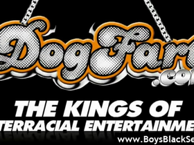 Blacks on boys - black dudes gay fucking 20