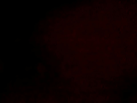 Video-2014-01-08-10-19-36