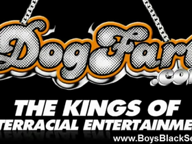 Black gay porn - black dudes gay hardcore fuck 12